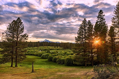 Photo 4 - House on Metolius