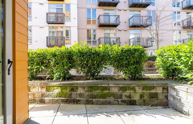 Sophari Mercer Island Apartments - Photo 21