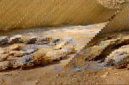 Foto 12 - Piedra de Cobre