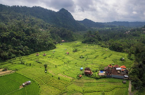 Photo 60 - Kubu Sakian Villa