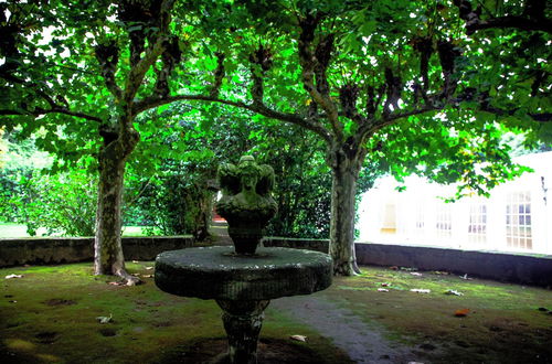 Photo 48 - Quinta da Nasce Água