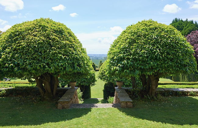 Drakestone House Manor With Breathtaking Cotswolds Views - Foto 37