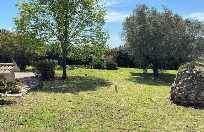 Nel verde, a mezz'ora dal centro di Roma - Foto 52