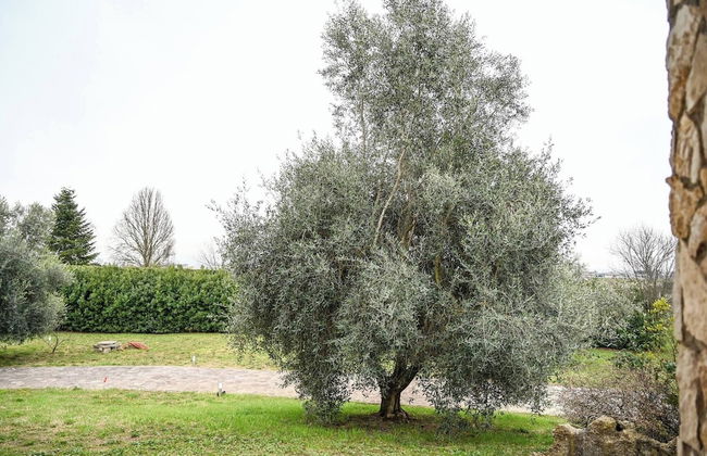 Nel verde, a mezz'ora dal centro di Roma - Foto 54