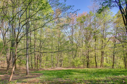 Foto 3 - Vacation Rental Near Shenandoah National Park