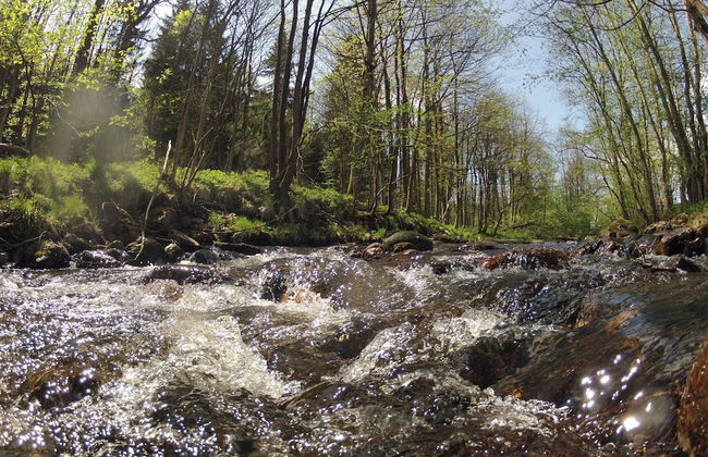 Doppelhaushalfte in Hasselfelde - Foto 20