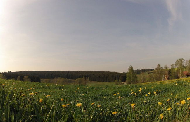 Doppelhaushaelfte in Hasselfelde - Foto 32