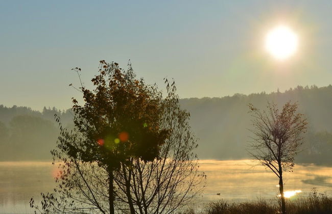 Doppelhaushaelfte in Hasselfelde - Foto 30