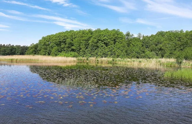 Ferienwohnungen am Mirower See, Mirow - Foto 25
