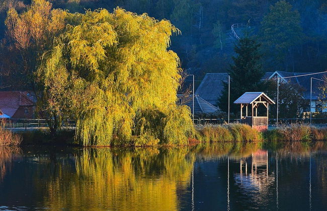 Log Cabin in Hasselfelde Near Harzer-hexen-stieg - Foto 13