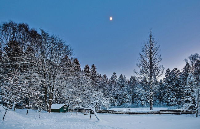 Comfortable Holiday Home in the Middle of a Forest - Foto 40