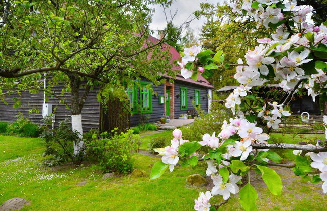Comfortable Holiday Home in the Middle of a Forest - Foto 37
