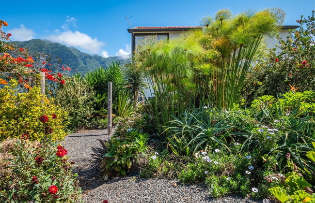 Landure Baixo by Madeira Sun Travel - Foto 24