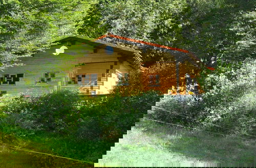Photo 18 - Log House in Rinchnach With Panoramic Views