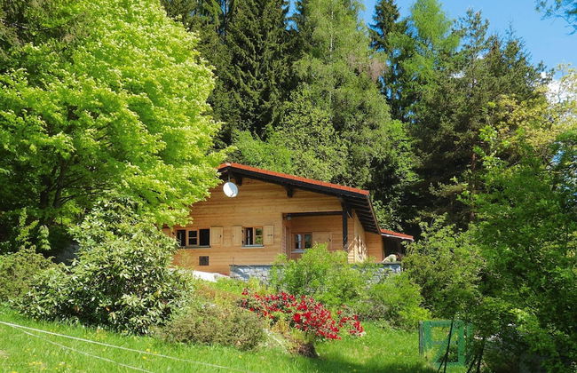 Log House in Rinchnach With Panoramic Views - Foto 1