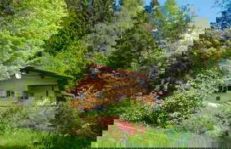 Foto 1 - Log House in Rinchnach With Panoramic Views
