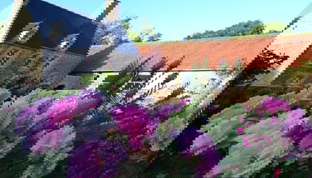 Imagem principal