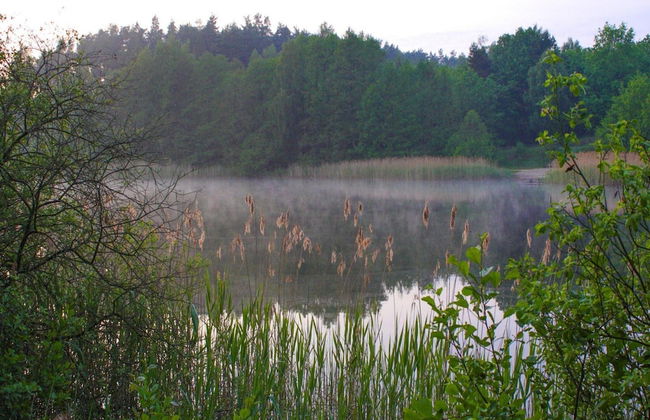 Haus am Gardersee mit Garten - Foto 19