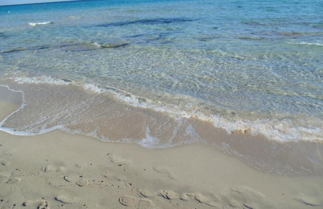 Sunny Garden Stay in Taviano - Foto 33