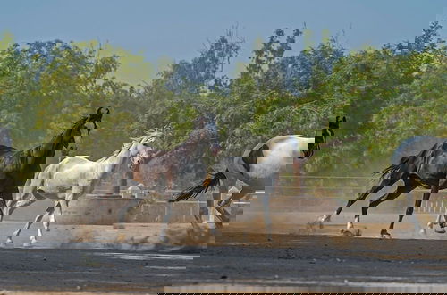 Foto 38 - Rann Riders