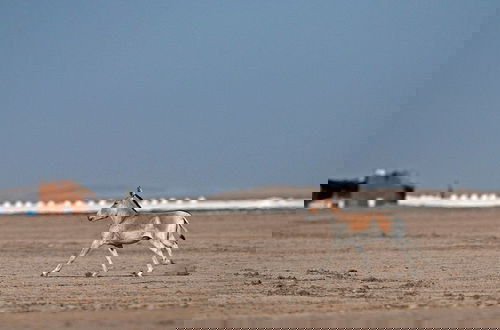 Foto 34 - Rann Riders