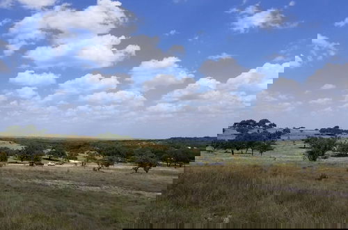 Foto 24 - Stevie Ray In The Hill Country - Hacienda Amor