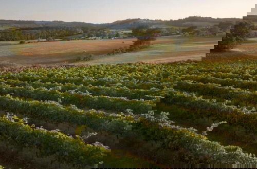 Foto 76 - Farmhouse in Marsciano With Vineyards Olive Groves