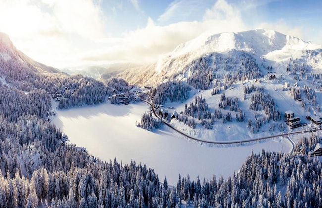 Lively Chalet With Infrared Sauna - Foto 20