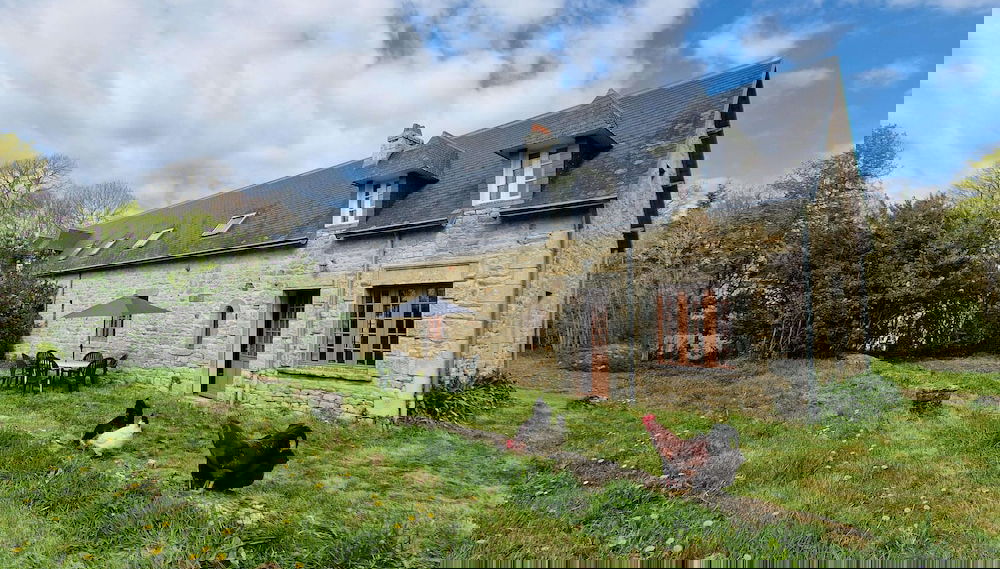 Image principale