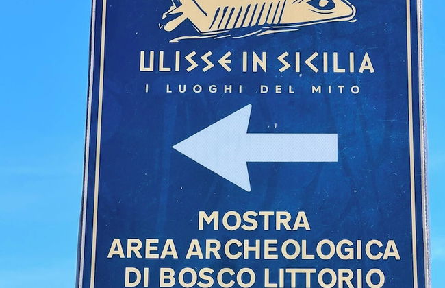 Ti Aspettiamo nel Nostro Luminoso Appartamento - Foto 16