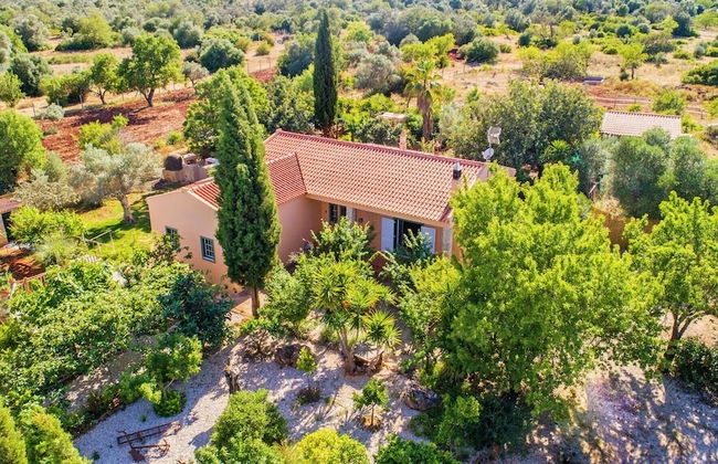 Villa Quinta do Mocho - Photo 47