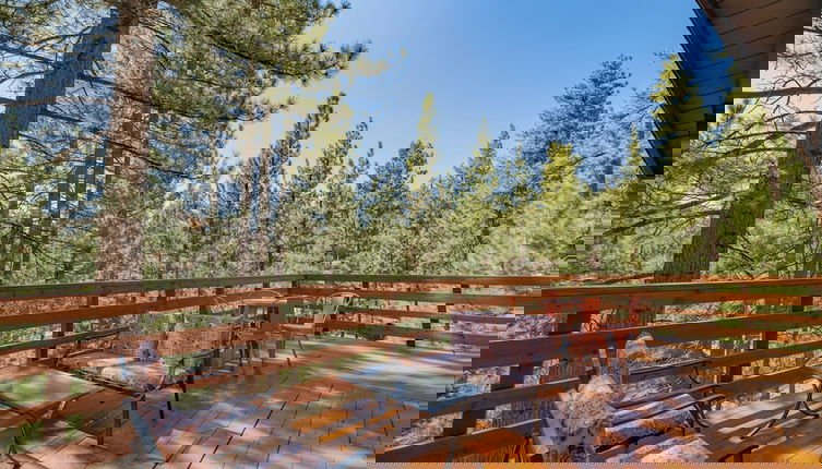 Foto 1 - Forest Escape