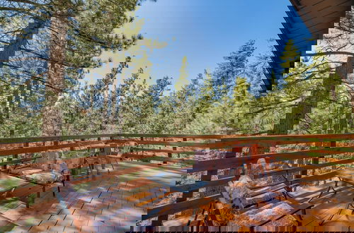 Foto 1 - Forest Escape