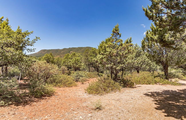 Glass House Elk Rim Pine - Foto 31