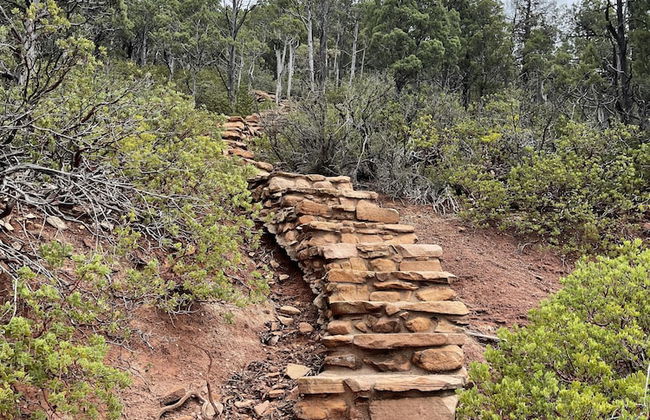 Glass House Elk Rim Pine - Foto 34