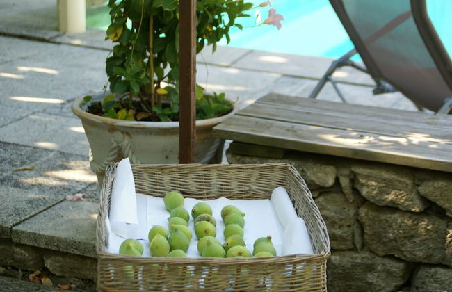 Splendid Villa in Viens With Swimming Pool - Photo 80