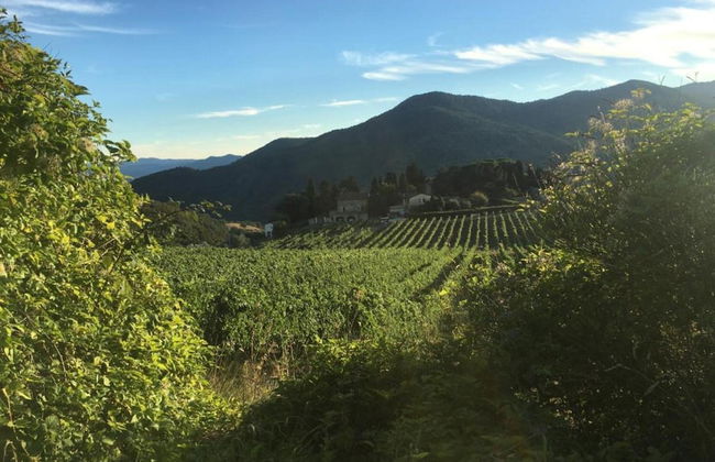 Scenic Stay Near Florence - Foto 32