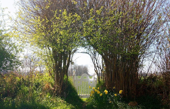 Cottage, Steam - Foto 51