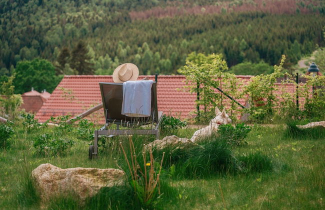 Holiday Homes in the Schierke Harzresort on the Brocken, Schierke - Foto 66