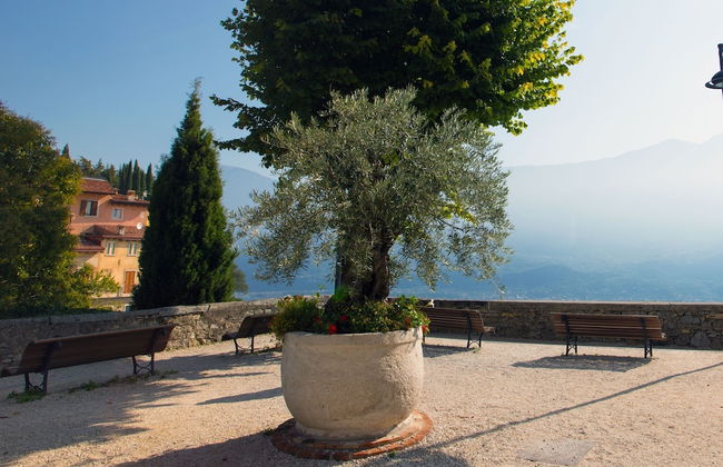 Residence Delle Rose Relax and Enjoy - Foto 18