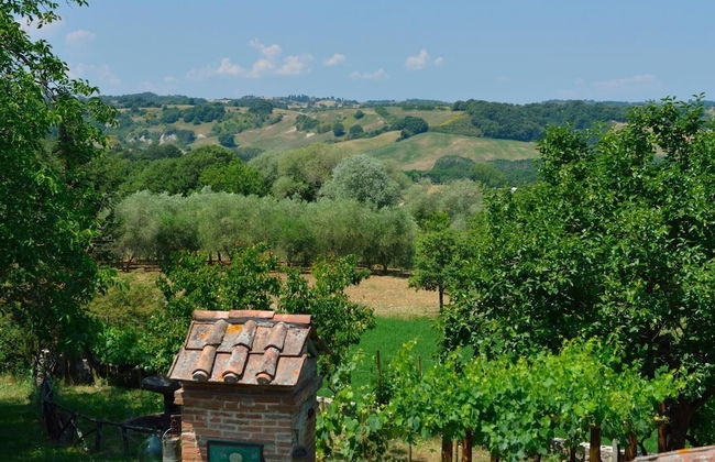 La Murata - Foto 45