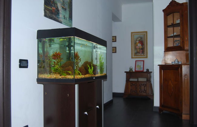 Casa MaMa - Foto 25