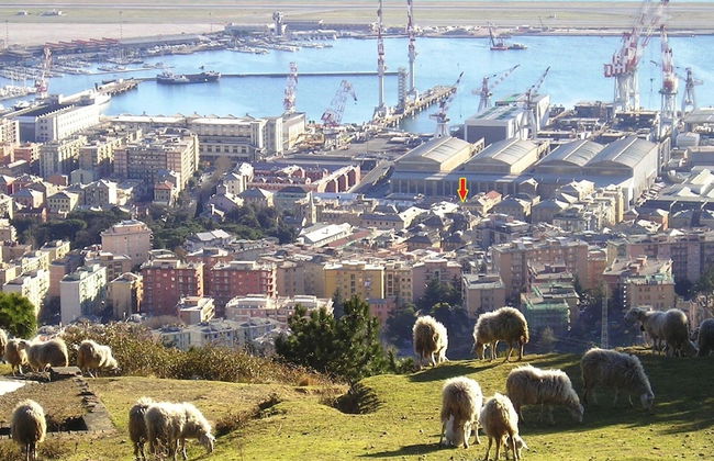 Casa MaMa - Foto 43