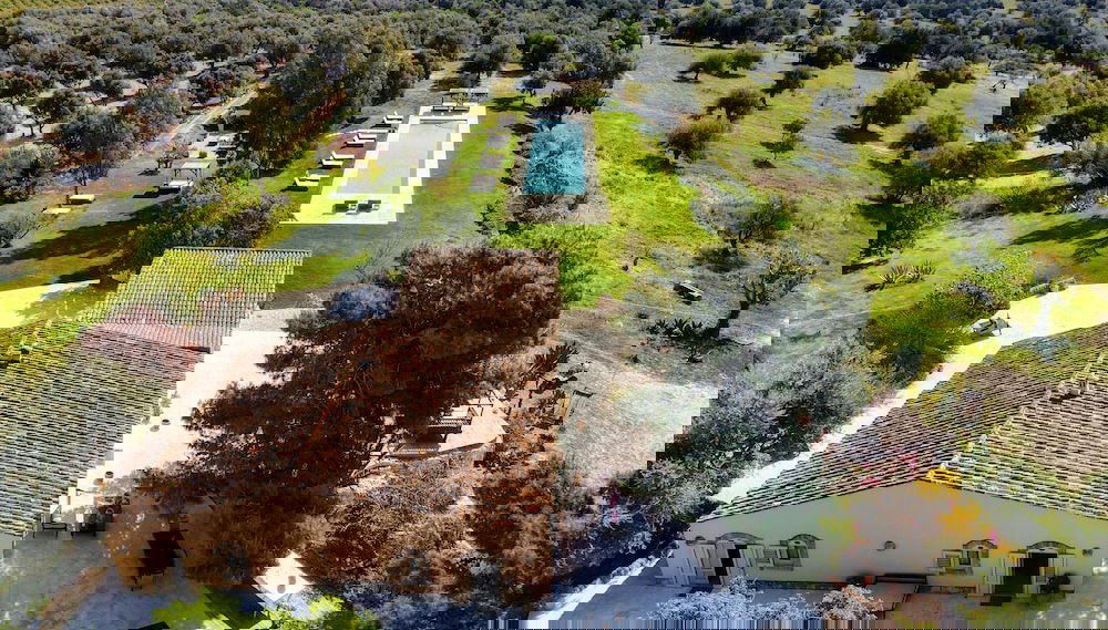 Image principale