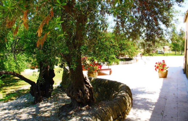 Terre di Vendicari - Foto 29