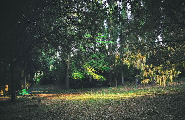Villa Vianci - Foto 44