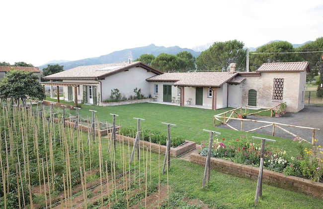 Olimagio - Foto 43