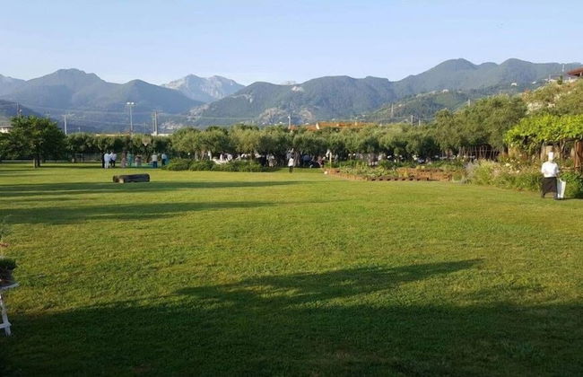 Olimagio - Foto 41