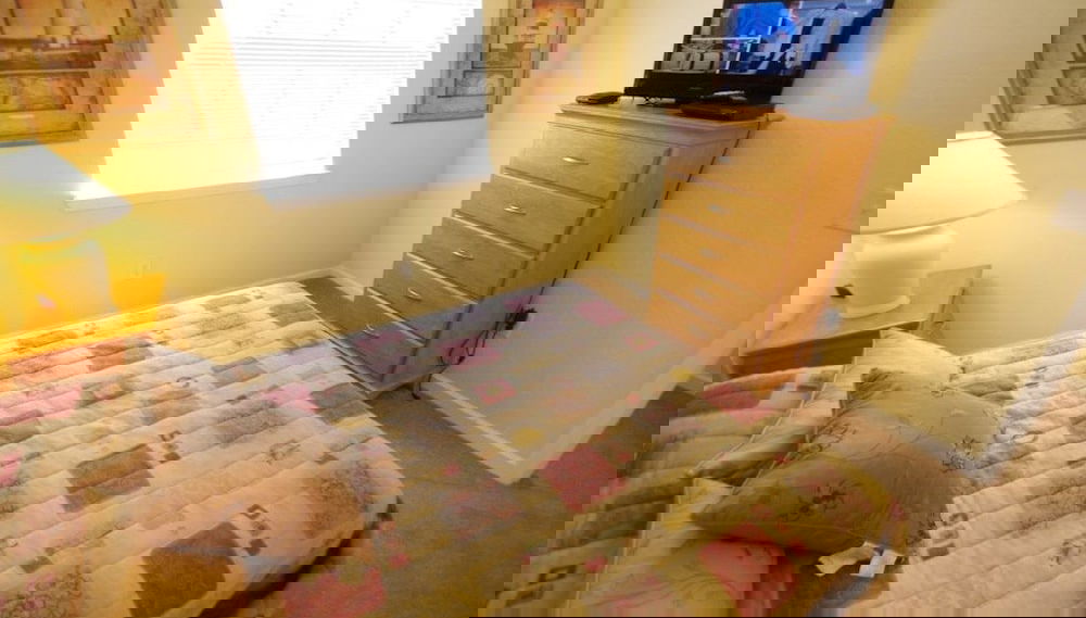 Imagem principal