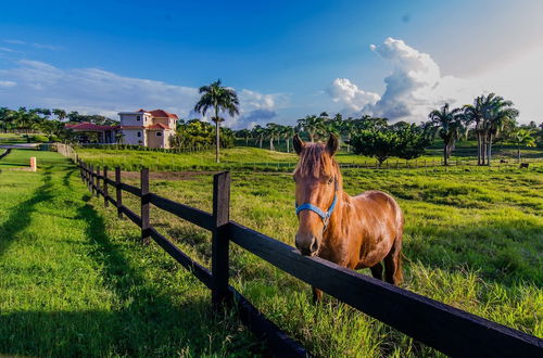 Photo 57 - Terramar Estates Villas by Caribe Stays